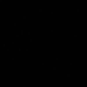 Meet your Posher, Steve